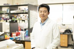 Yong (Tiger) Zhang, PhD