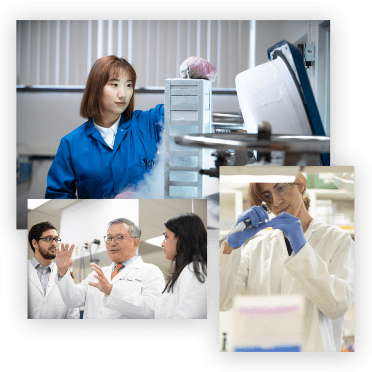Research and Faculty banner