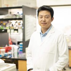 Yong (Tiger) Zhang, assistant pro of the USC School of Pharmacy led a team that has engineered a new, faster way to make drugs that precisely target malignant cells. (Photo by Isaac Mora)