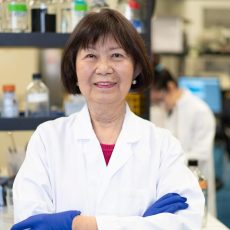 Jean Chen Shih’s areas of expertise include brain development, autism spectrum disorder and repurposing antidepressants for brain cancer and prostate cancer. (Photo/Courtesy of the USC Alfred E. Mann School of Pharmacy and Pharmaceutical Sciences)