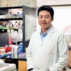 Yong (Tiger) Zhang of the USC School of Pharmacy was awarded a five-year, $1.9 million National Institutes of Health (NIH) grant to fund a study that could lead to major breakthroughs in the development of new diagnostics and therapeutics for different human diseases. (Photo by Isaac Mora)